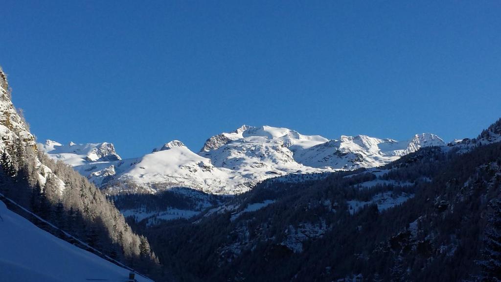 Family Apartments Le Chalet Champoluc Esterno foto