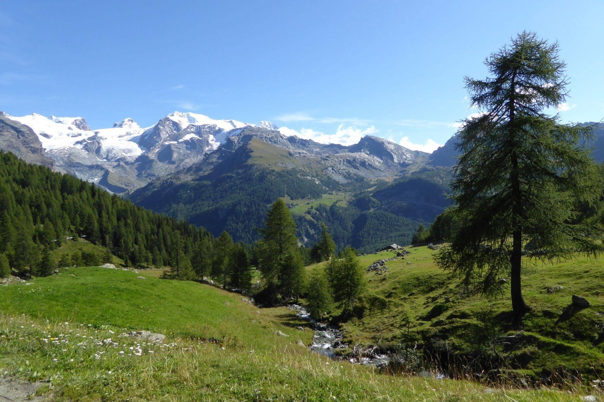Family Apartments Le Chalet Champoluc Esterno foto